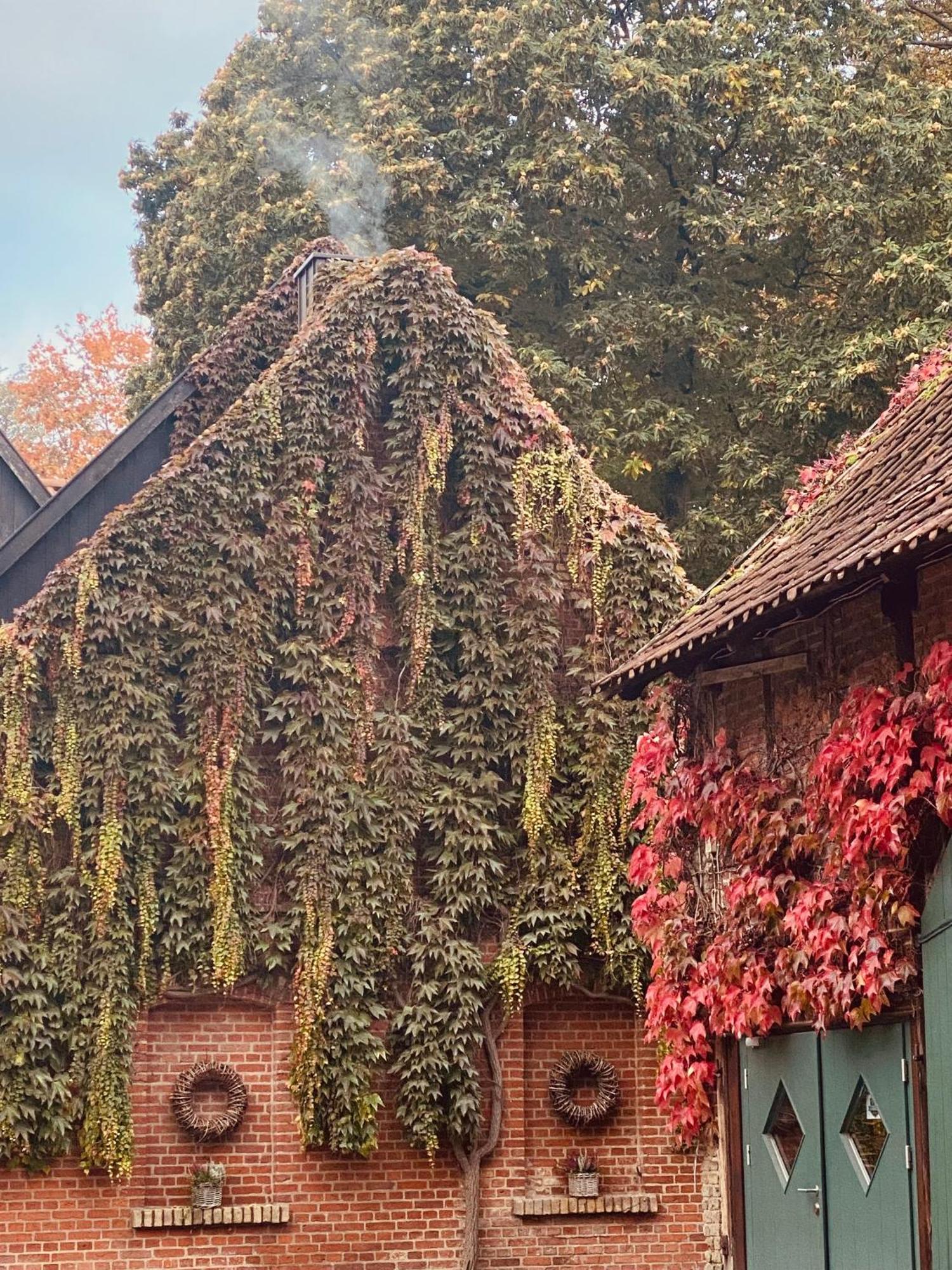 Landhaus Eggert Мюнстер Экстерьер фото